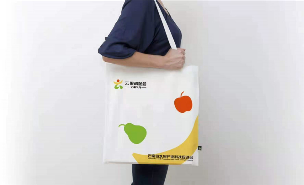 云南水果促进会logo设计